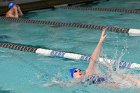 Swimming vs Bentley  Wheaton College Swimming & Diving vs Bentley College. - Photo by Keith Nordstrom : Wheaton, Swimming & Diving